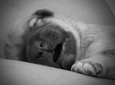 Screen Shot 2013-09-30 at 8.56.58 PM