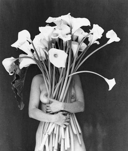 lillies