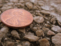 penny on ground