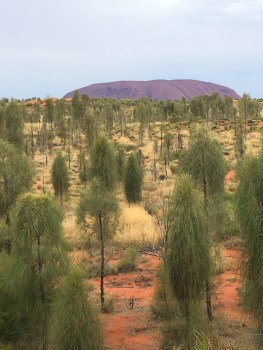 uluru_longitude